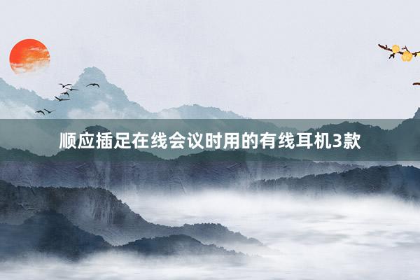 顺应插足在线会议时用的有线耳机3款