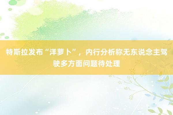 特斯拉发布“洋萝卜”，内行分析称无东说念主驾驶多方面问题待处理