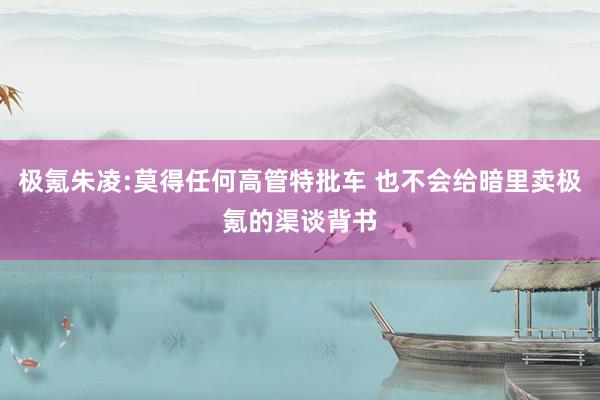 极氪朱凌:莫得任何高管特批车 也不会给暗里卖极氪的渠谈背书
