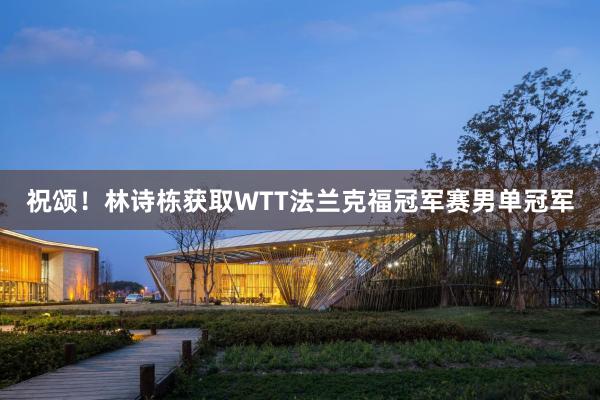 祝颂！林诗栋获取WTT法兰克福冠军赛男单冠军