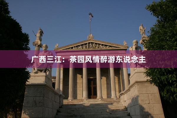 广西三江：茶园风情醉游东说念主