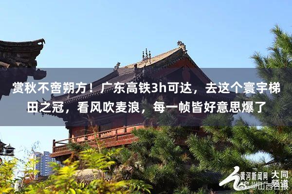 赏秋不啻朔方！广东高铁3h可达，去这个寰宇梯田之冠，看风吹麦浪，每一帧皆好意思爆了